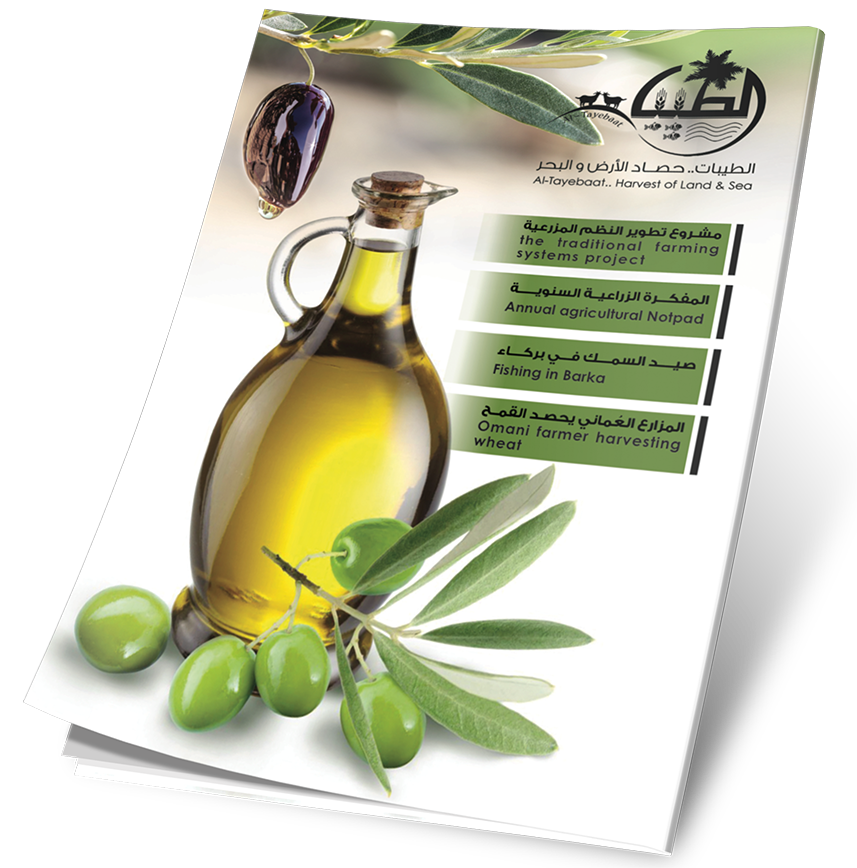 غلاف العدد 15